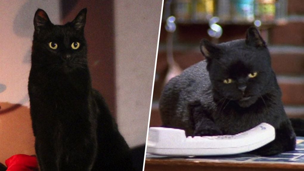 Les Nouvelles Aventures De Sabrina La Serie Netflix Vs La Sitcom Des Annees 90 Salem Allocine
