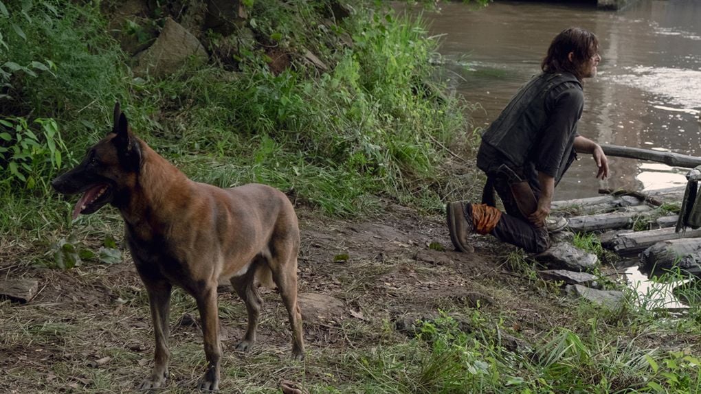 The Walking Dead : les images fortes de la première partie de la saison ...