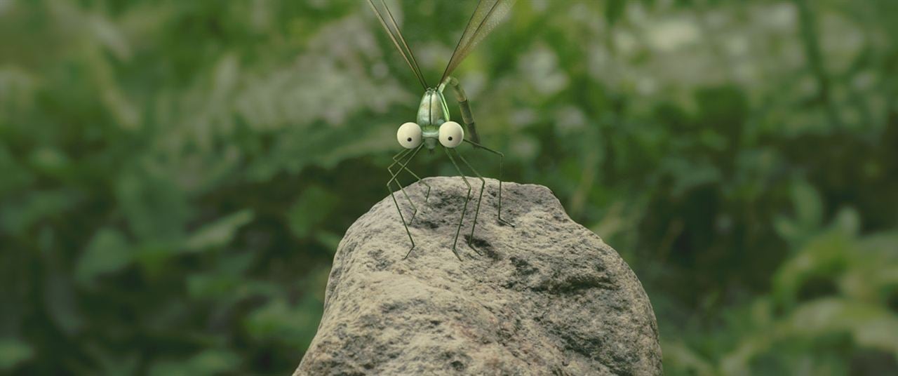 Minuscule - La vallée des fourmis perdues : Photo