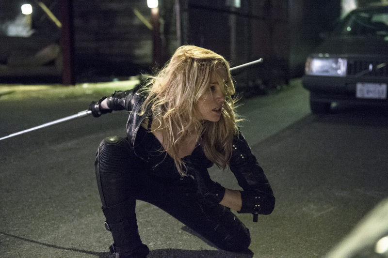 Arrow : Photo Caity Lotz