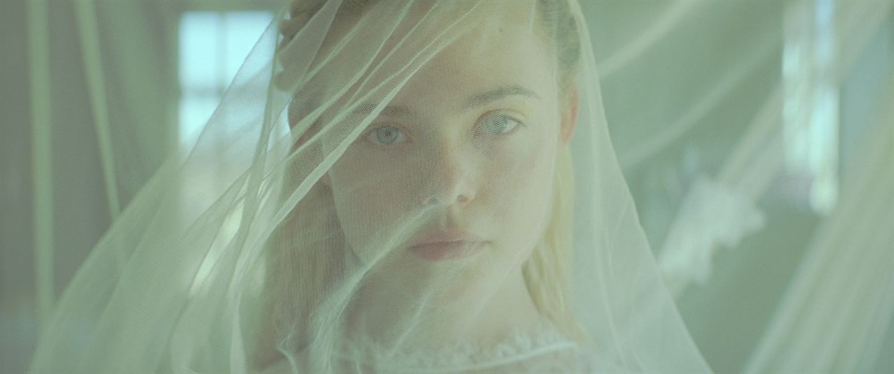 Young Ones : Photo Elle Fanning