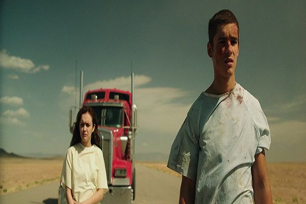 The Signal : Photo
