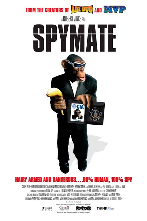 Spymate : Affiche