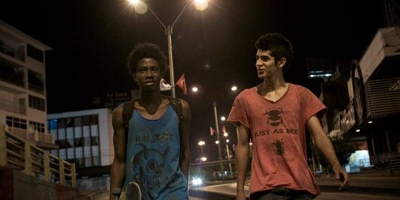 Los hongos : Photo
