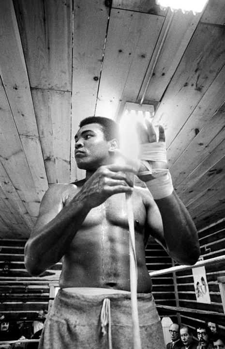 I Am Ali : Photo Mohamed Ali, Muhammad Ali