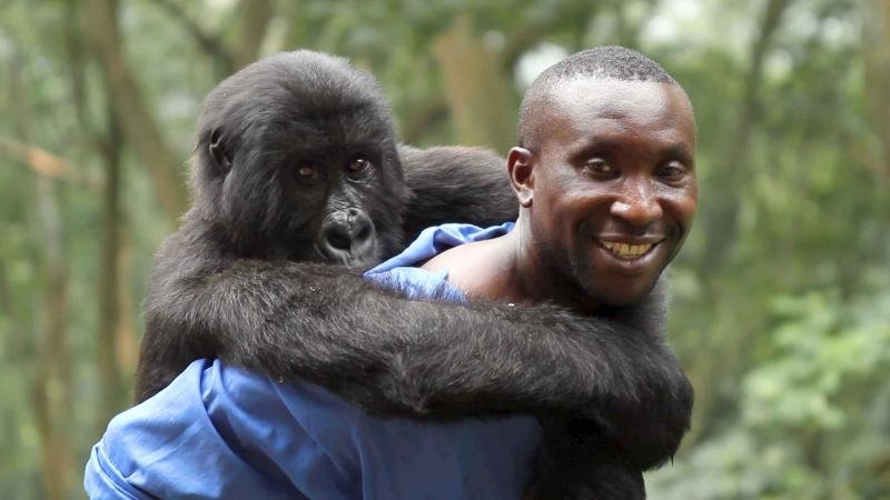 Virunga : Photo