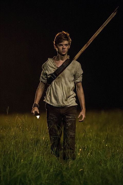 Le Labyrinthe : Photo Thomas Brodie-Sangster