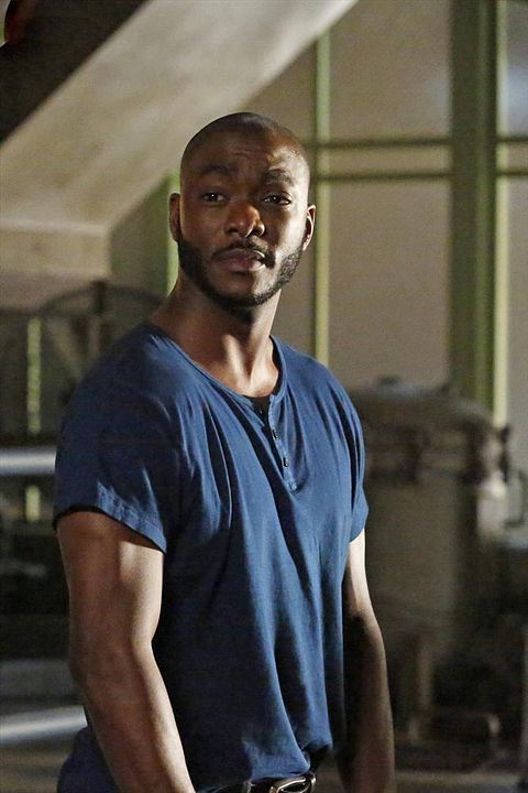 Marvel : Les Agents du S.H.I.E.L.D. : Photo B.J. Britt