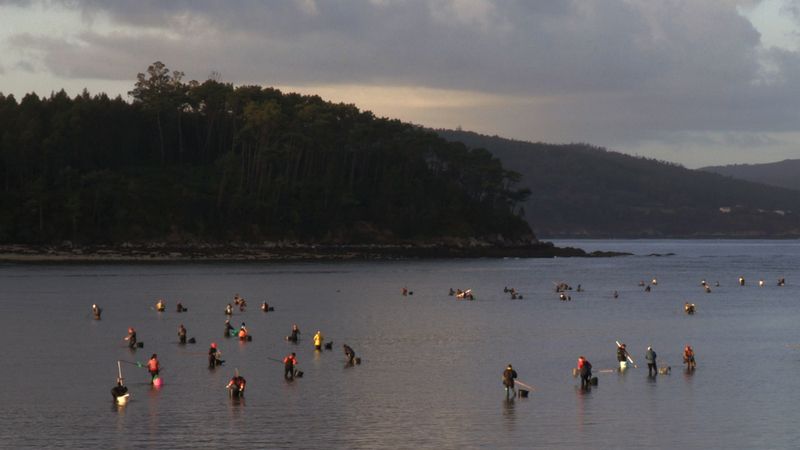 Coast of Death : Photo