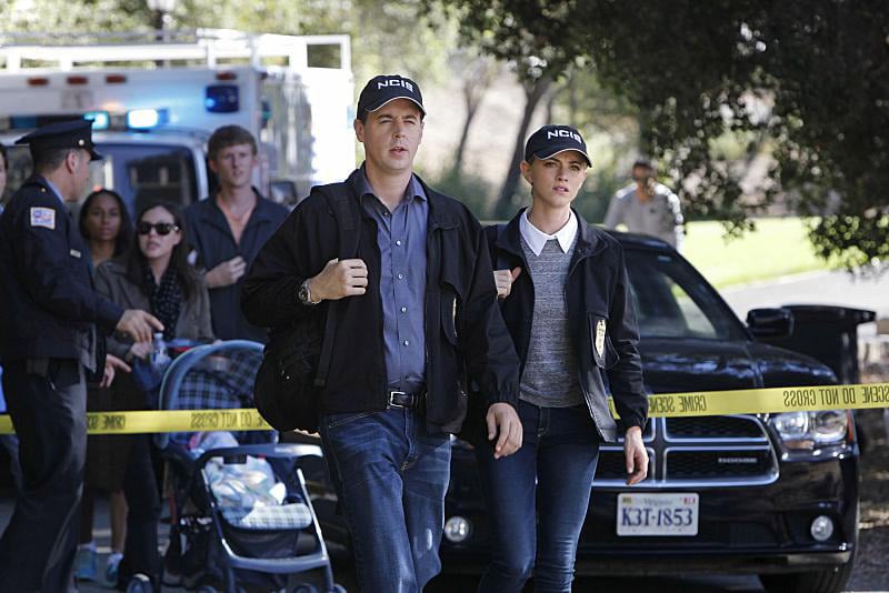 NCIS : Enquêtes spéciales : Photo Sean Murray, Emily Wickersham