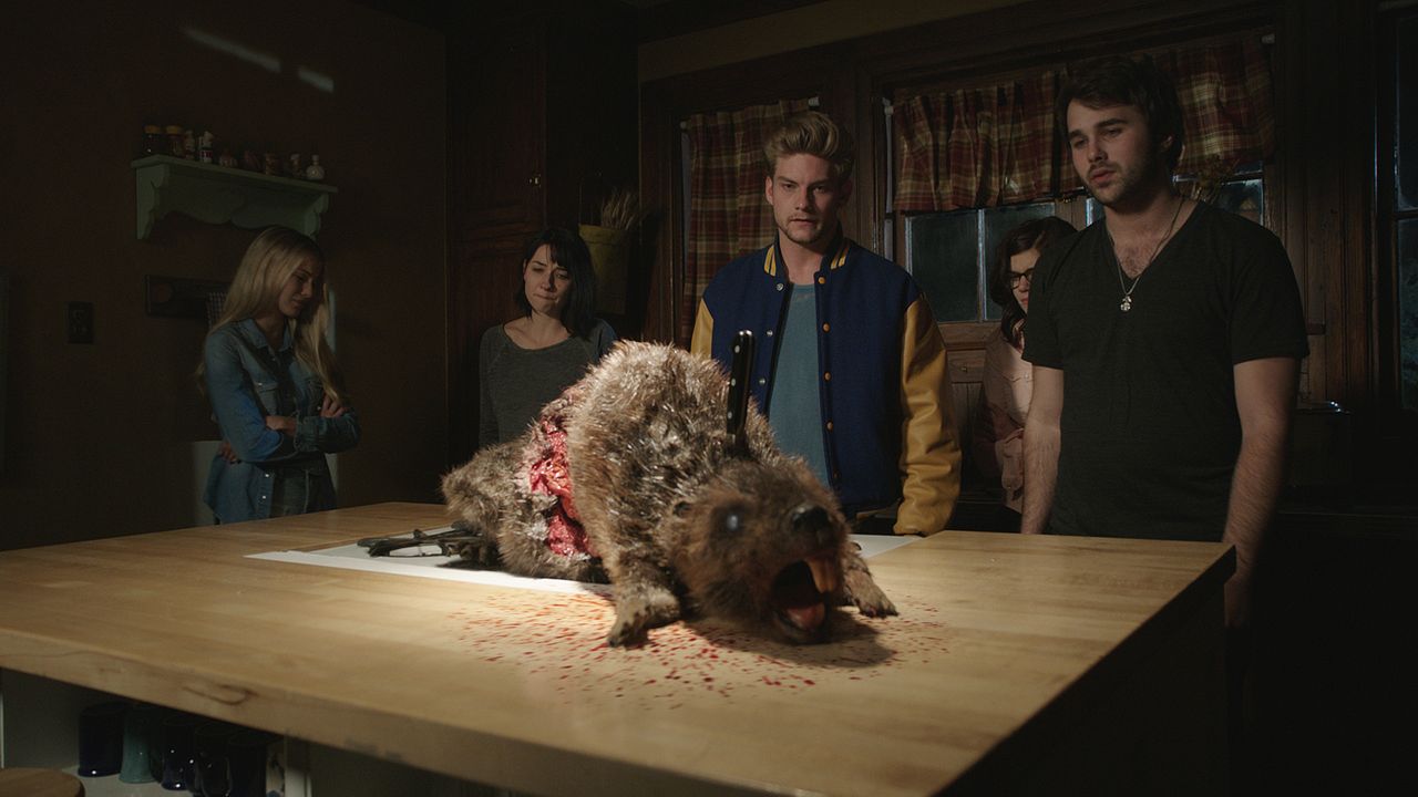 Zombeavers : Photo Cortney Palm, Hutch Dano, Jake Weary, Lexi Atkins