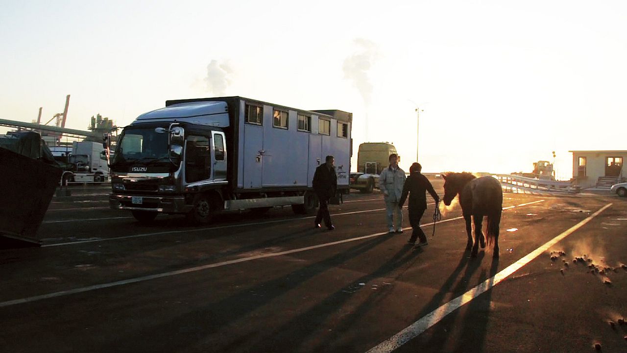 The Horses of Fukushima : Photo