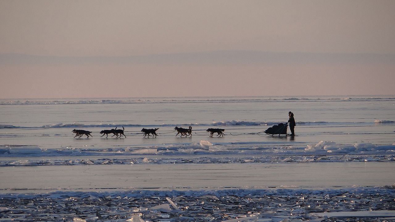 L'Odyssée Sauvage : Photo