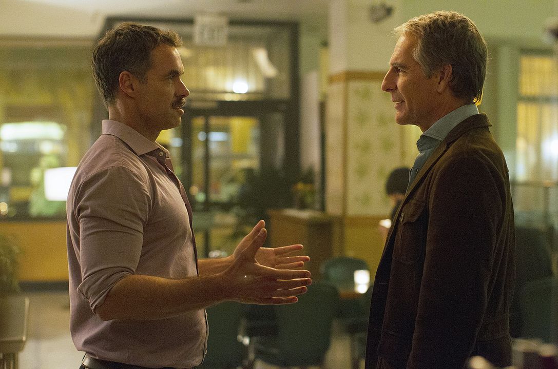 Looking : Photo Murray Bartlett