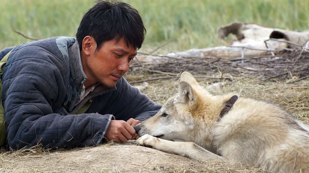 Le Dernier Loup : Photo Feng Shaofeng