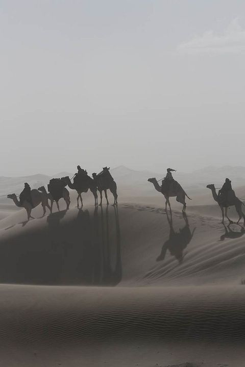 Queen of the Desert : Photo