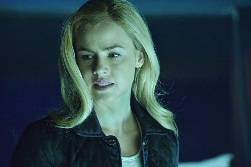 12 Monkeys : Photo Amanda Schull