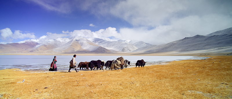 Enfances Nomades : Photo