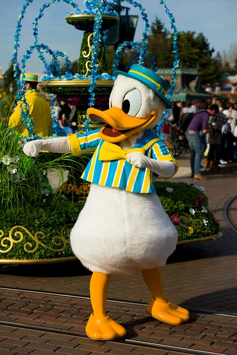 Photo Donald