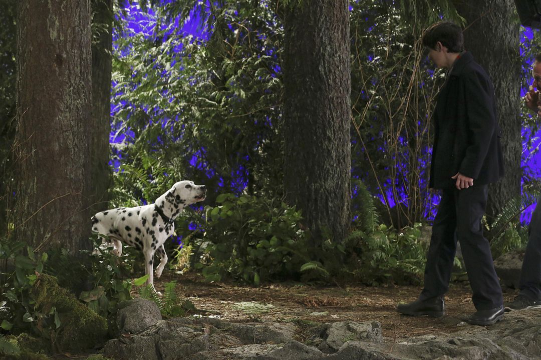 Once Upon a Time : Photo Jared Gilmore