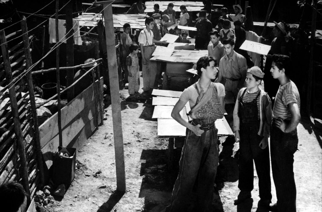 Los Olvidados (Pitié pour eux) : Photo