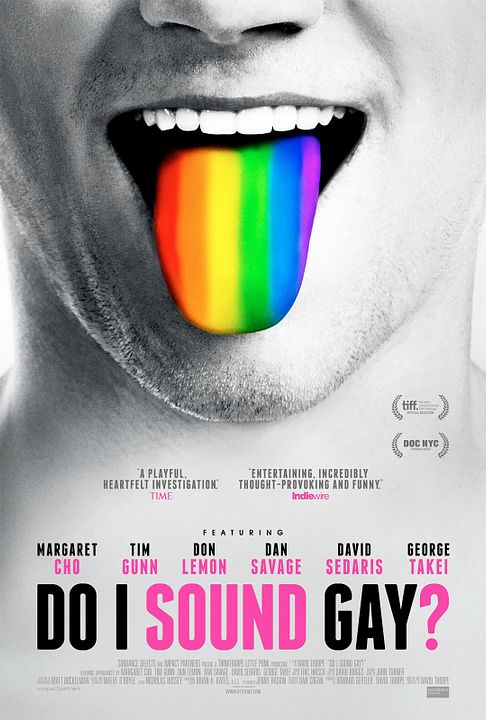 Do I Sound Gay? : Affiche