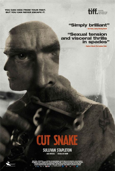 Cut Snake : Affiche