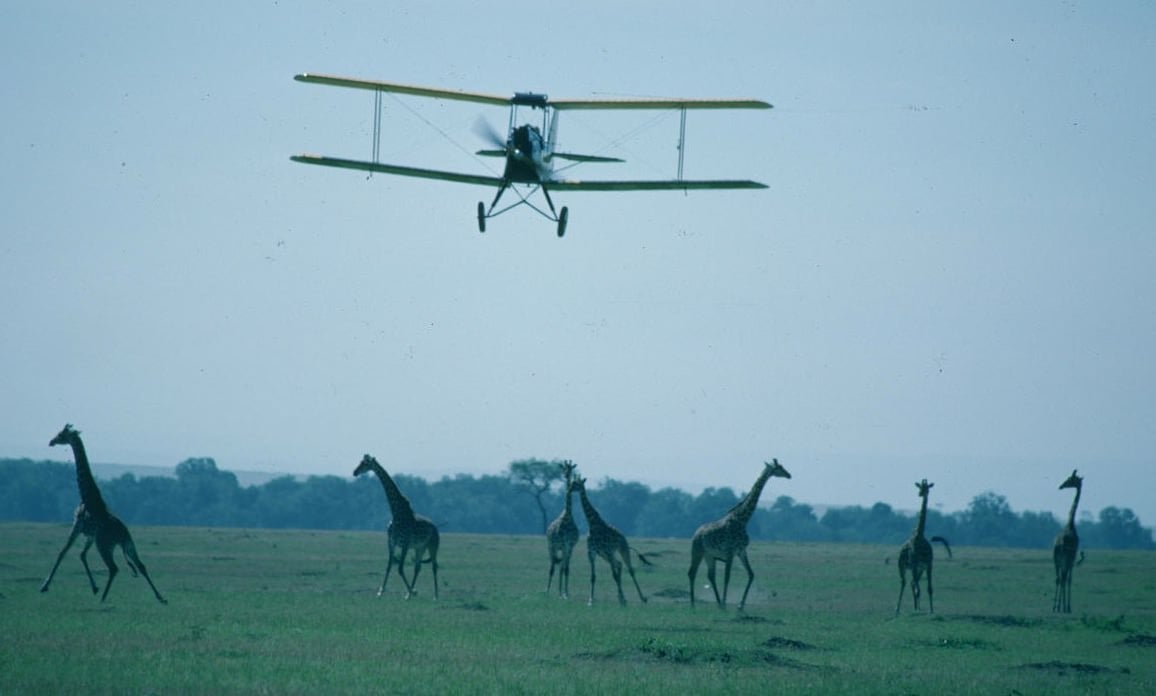 Out of Africa - Souvenirs d'Afrique : Photo