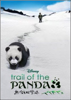 Trail of the Panda : Affiche