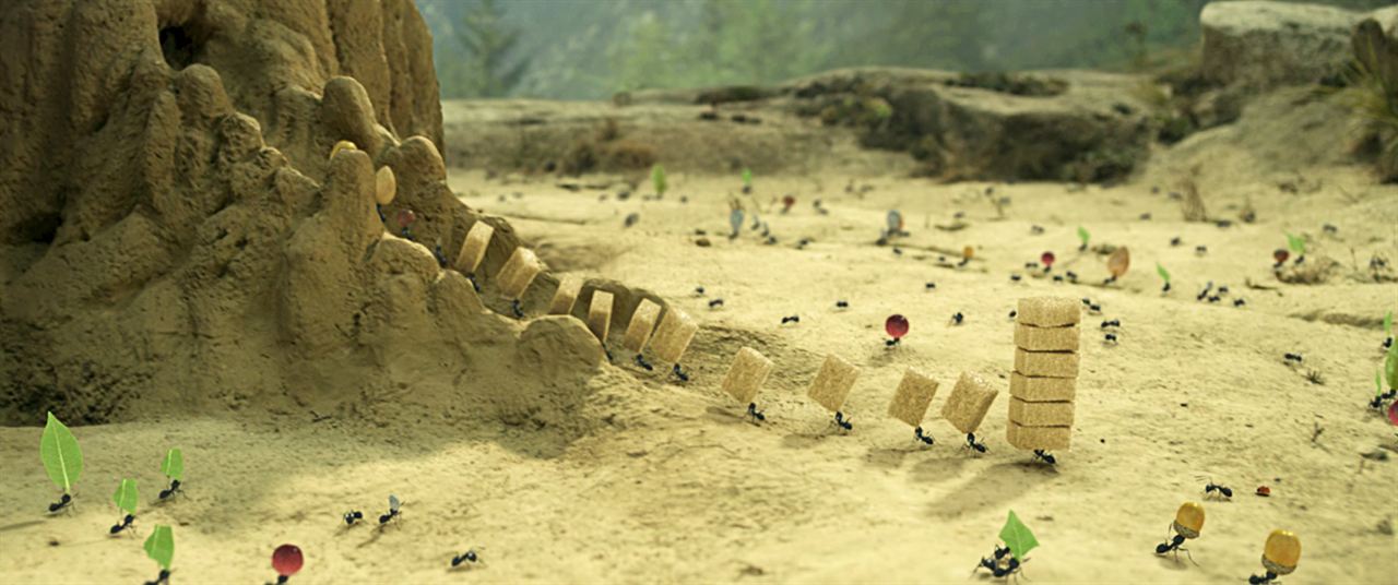 Minuscule - La vallée des fourmis perdues : Photo