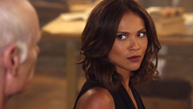 Flynn Carson et les nouveaux aventuriers : Photo Lesley-Ann Brandt