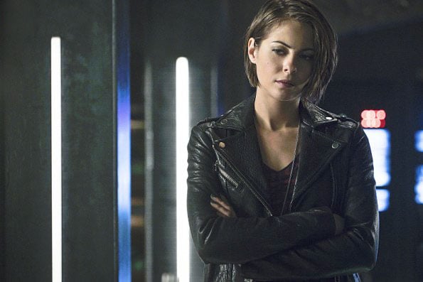 Arrow : Photo Willa Holland