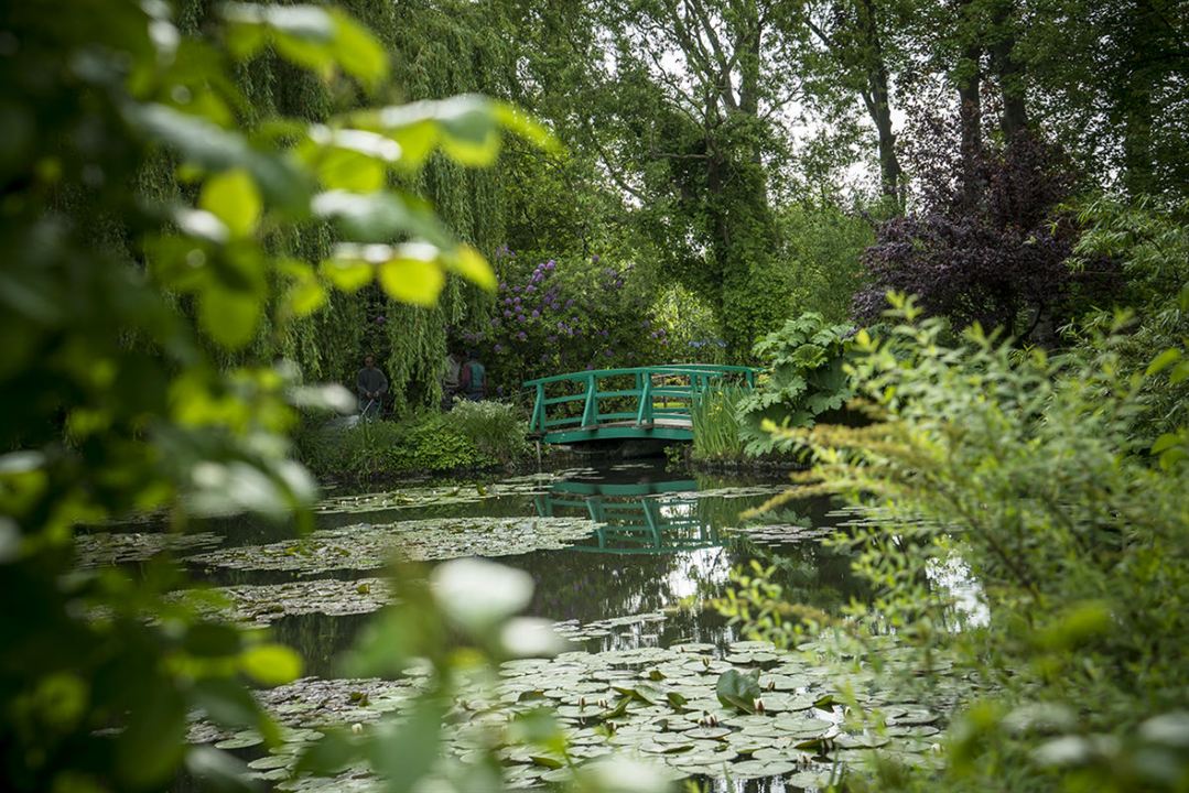 Peindre le jardin moderne : de Monet à Matisse : Photo