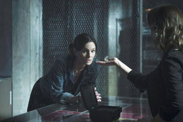 Colony : Photo Sarah Wayne Callies