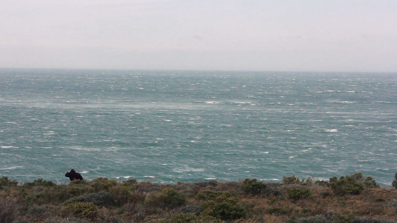Le Bien-Aimé : Photo