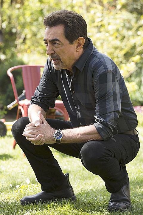 Esprits criminels : Photo Joe Mantegna