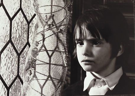 L'Esprit de la ruche : Photo