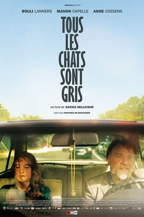 Tous les Chats sont gris : Affiche