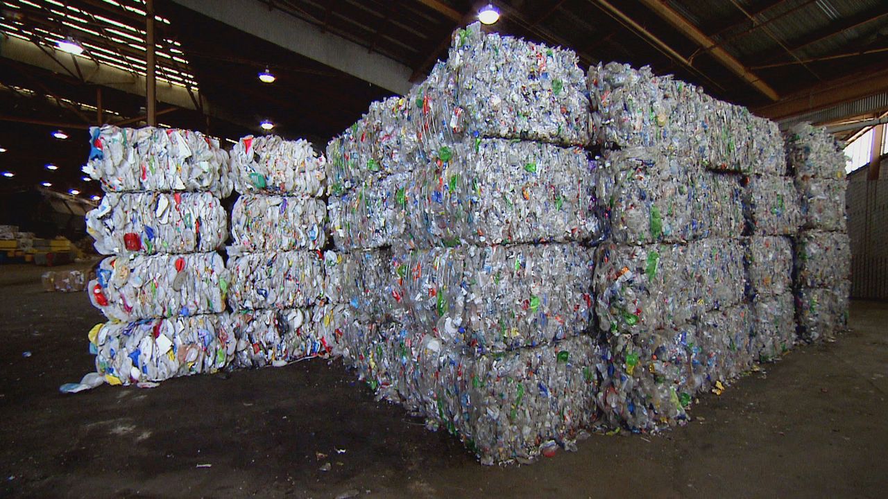 Trashed : Photo