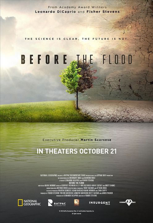 Avant le déluge : Affiche