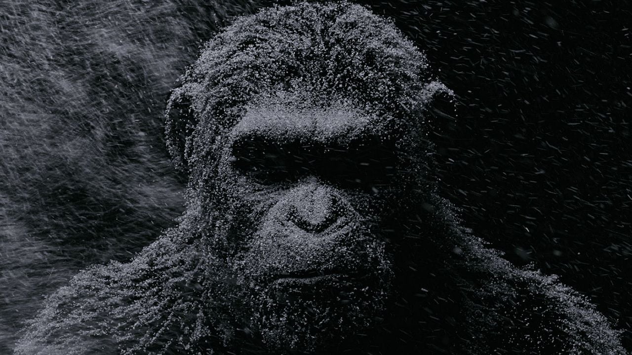La Planete Des Singe 2 Film Complet Vf Photo du film La Planète des Singes - Suprématie - Photo 45 sur 45