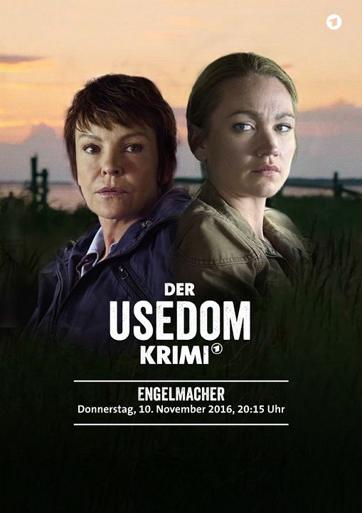 Baltic Crimes : La faiseuse d'ange : Affiche