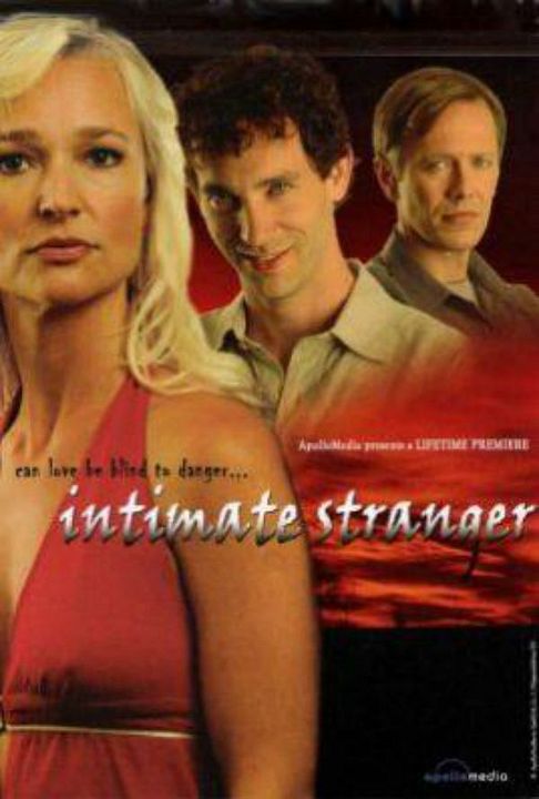 Un homme si parfait (TV) : Affiche