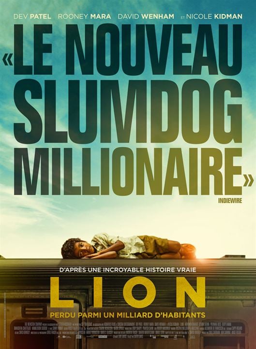 Lion : Affiche