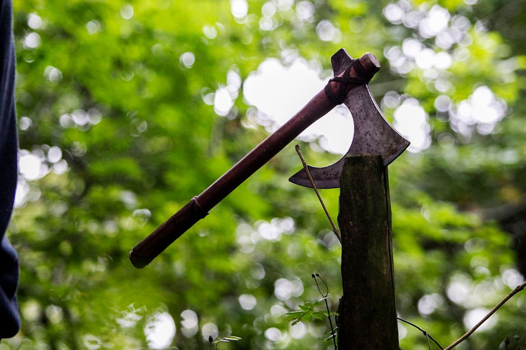 Viking : la fureur des dieux : Photo
