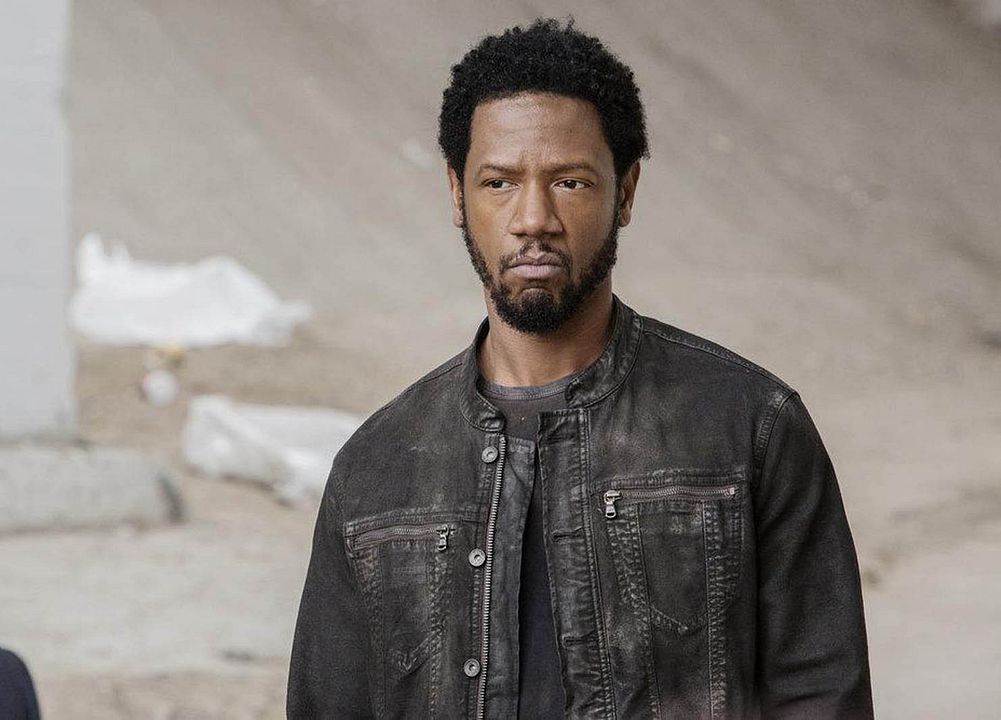 Colony : Photo Tory Kittles