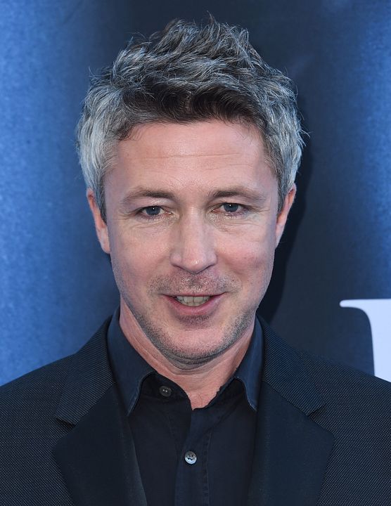 Affiche Aidan Gillen