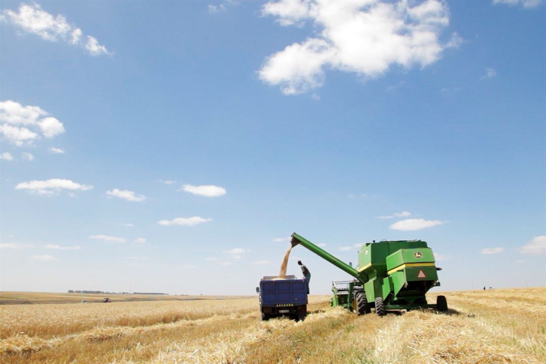 La Malédiction de l'or vert : Photo