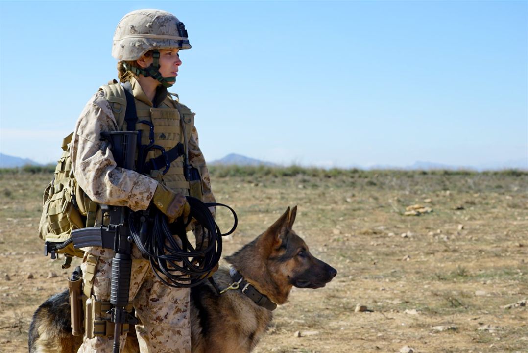 Megan Leavey : Photo