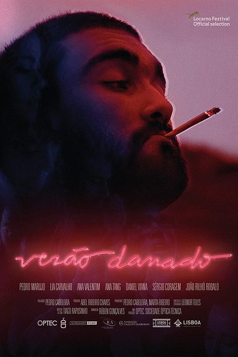Verão danado : Affiche
